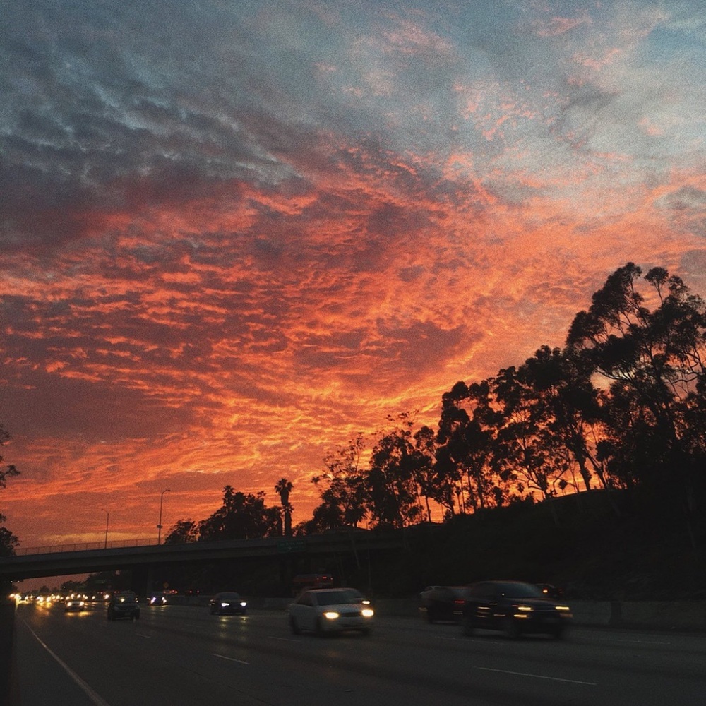 Meet your Posher, Halle